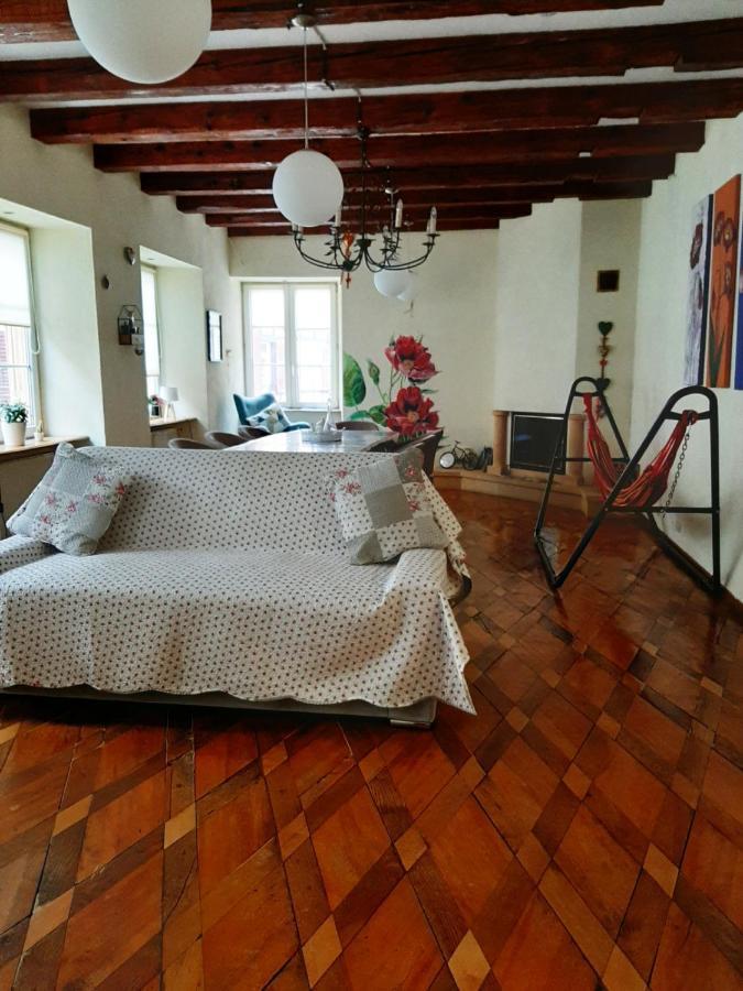 N¨°1 Schongauer Gite De Charme Centre Touristique Colmar Kültér fotó