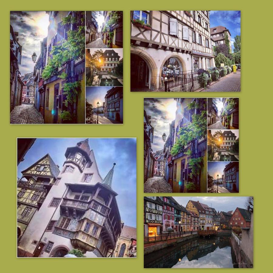N¨°1 Schongauer Gite De Charme Centre Touristique Colmar Kültér fotó