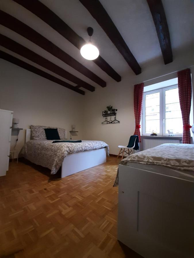N¨°1 Schongauer Gite De Charme Centre Touristique Colmar Kültér fotó