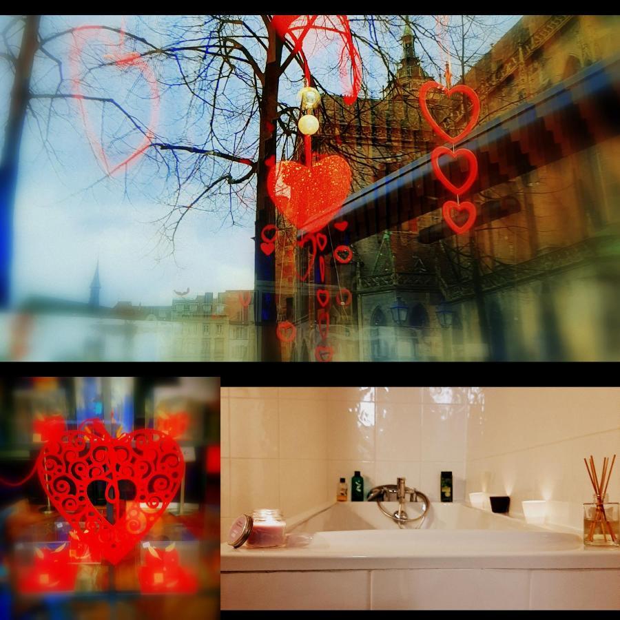 N¨°1 Schongauer Gite De Charme Centre Touristique Colmar Kültér fotó