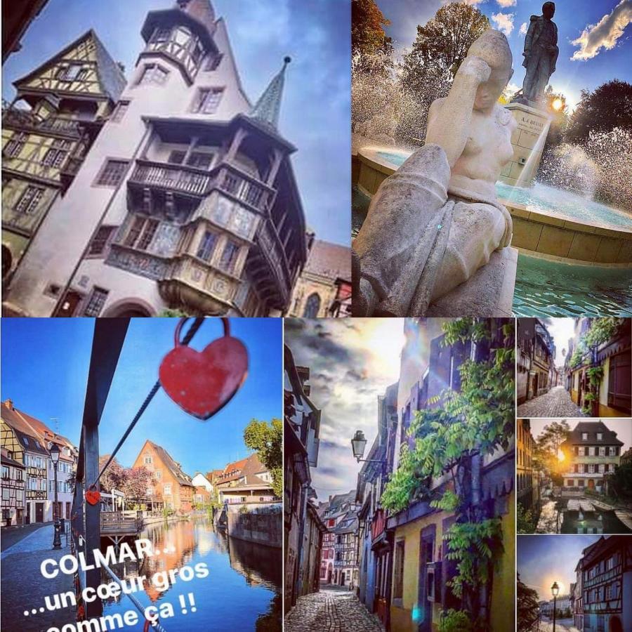 N¨°1 Schongauer Gite De Charme Centre Touristique Colmar Kültér fotó