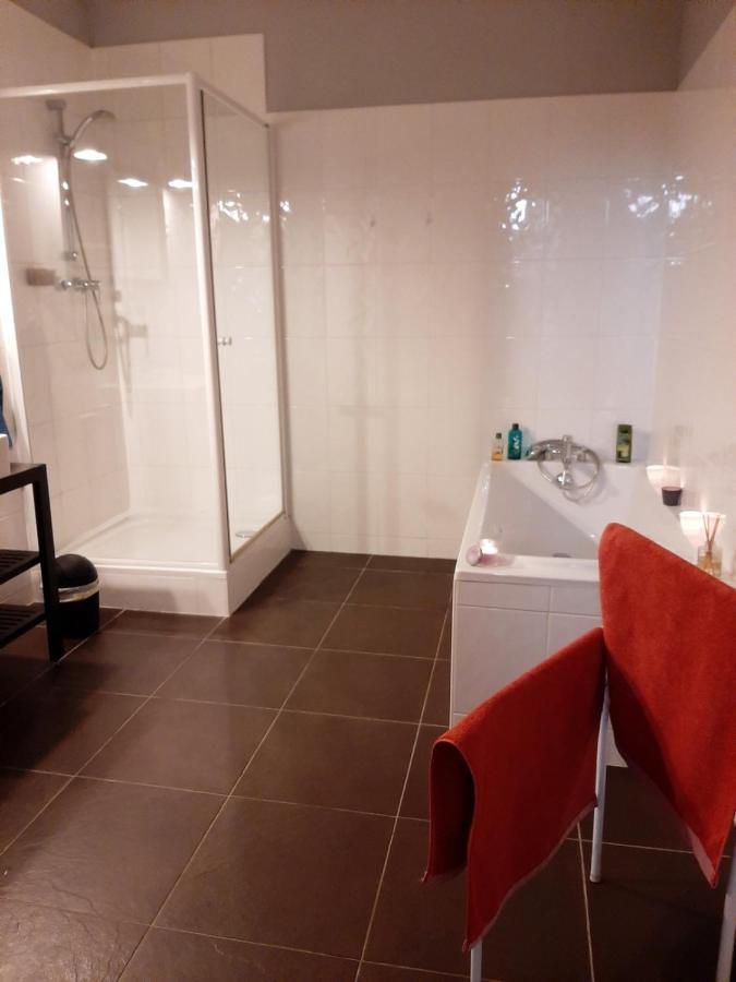 N¨°1 Schongauer Gite De Charme Centre Touristique Colmar Kültér fotó